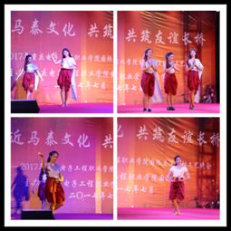 走近馬泰文化，共筑友誼長橋——我校中外學生國際交流活動文藝晚會成功舉辦